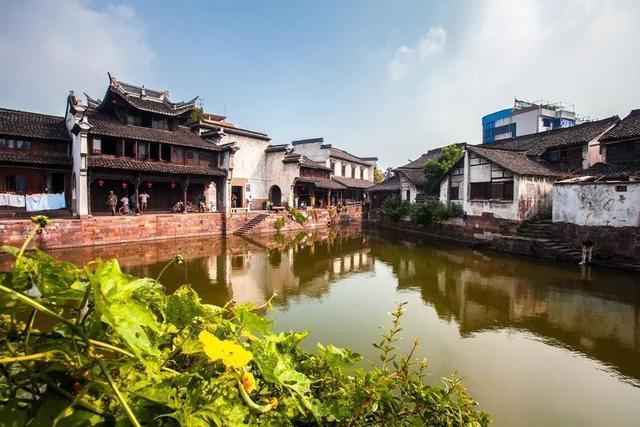 模拟山羊